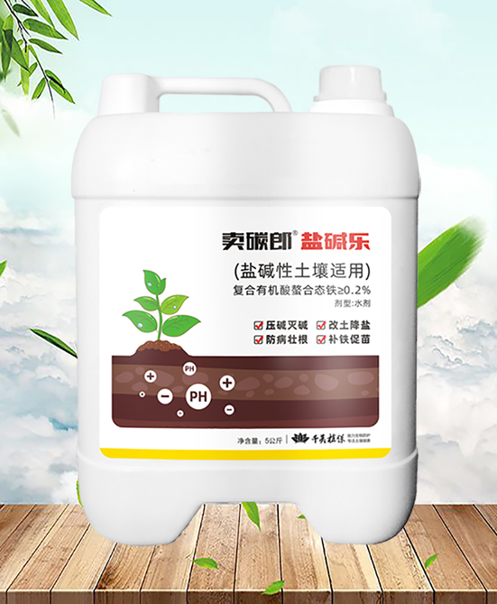 鹽堿樂